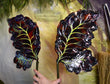 Ichor Sapling Dura-little Fairy Wings