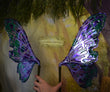 Violet Witch Moth Dura-little Fairy Wings