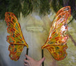 Fire Lizard Moth Dura-little Fairy Wings