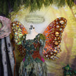 Toadstool Wisp Fairy Wings