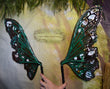 Wyldwood Witch Moth Dura-little Fairy Wings