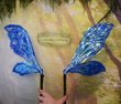 Ripple Pest Dura-little Fairy Wings