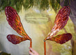 Autumn Dauber Dura-little Fairy Wings