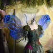 Blueberry Swarm Fairy Wing