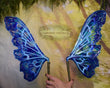 Lagoon Witch Moth Dura-little Fairy Wings