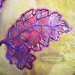 Berry Patch Sapling Dura-little Fairy Wings