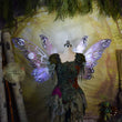 READY TO SHIP Petal Peregrine Fairy Wings - minor flaw