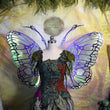 READY TO SHIP Orb Weaver Tawny Fairy Wings